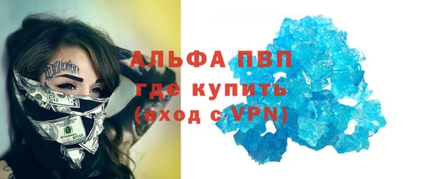 стаф Богородск