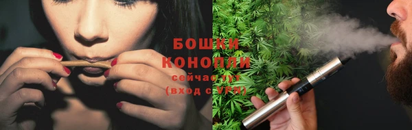 Альфа ПВП Белокуриха