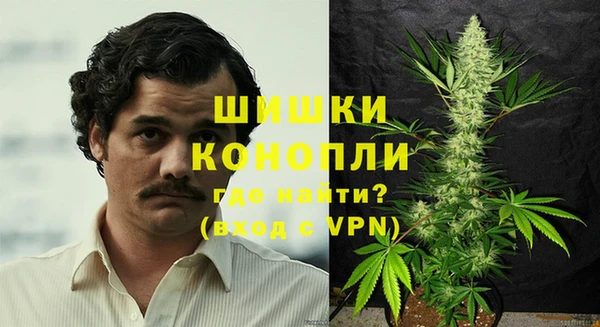 стаф Богородск