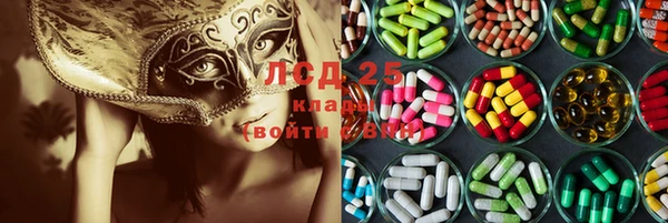крисы Белоозёрский