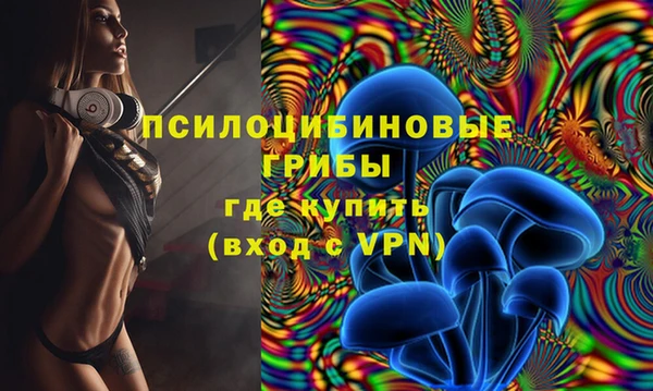 крисы Белоозёрский