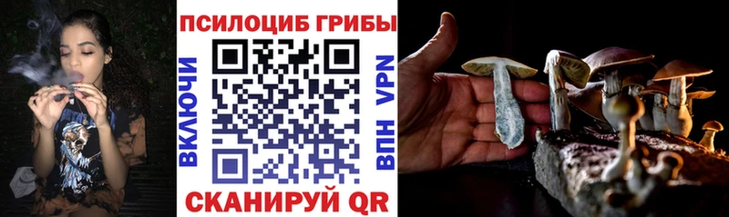 Купить закладки  Слюдянка  Псилоцибиновые грибы Magic Shrooms 